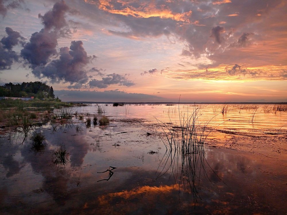 Фотография автора Кухта Мария
