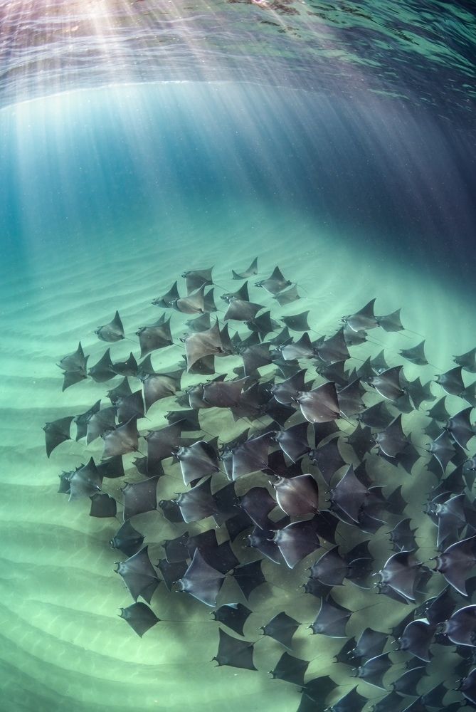 Photograph by Merche Llobera