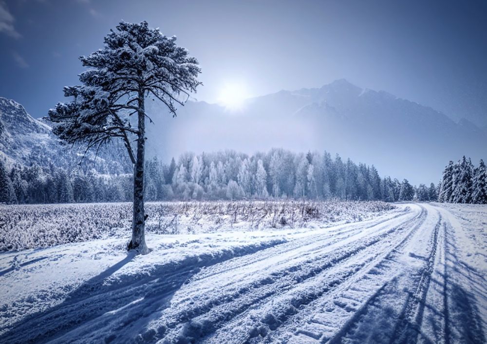 Photograph by Светлана Богомолова