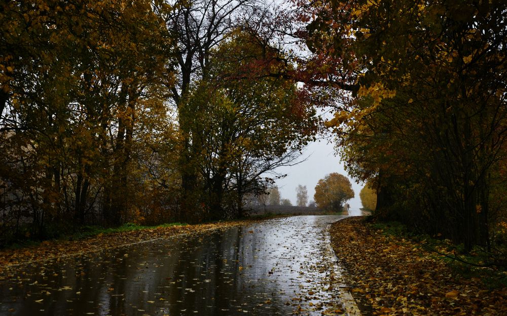 Photograph by Николай Алексеев