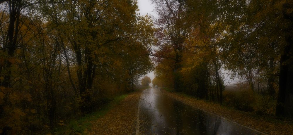 Photograph by Николай Алексеев