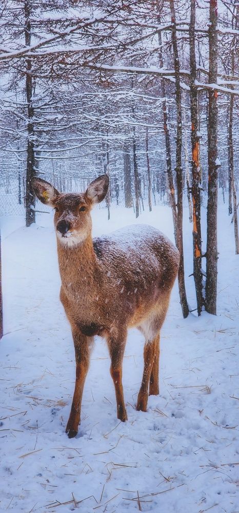 Photograph by Яна Балыкова