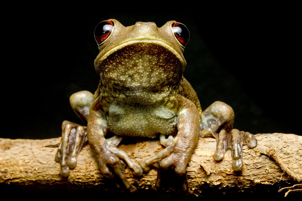 Photograph by Johan Romero