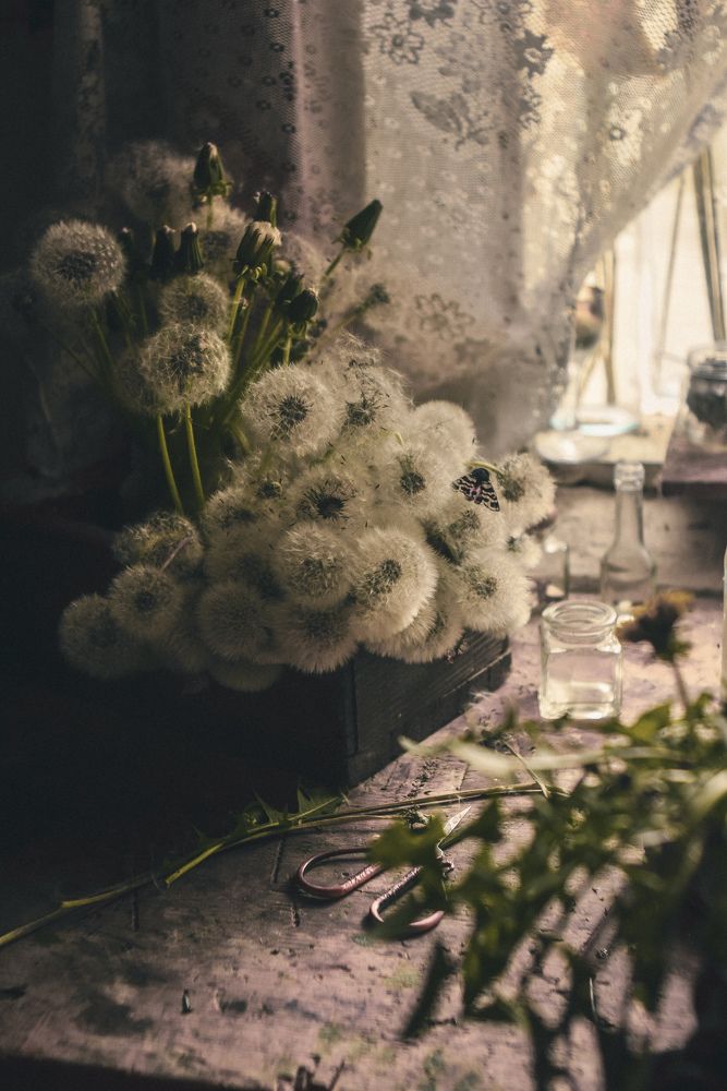 Photograph by Анна Федотова