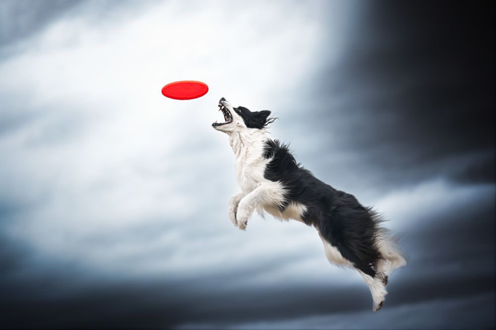 Photograph by Barbora Holinková