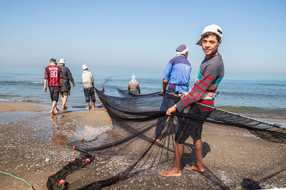 Фотография автора Adel Bayoumi