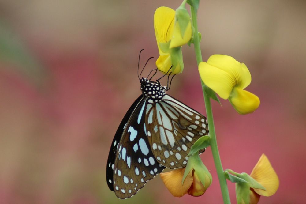 Фотография автора Ritul Sathwara