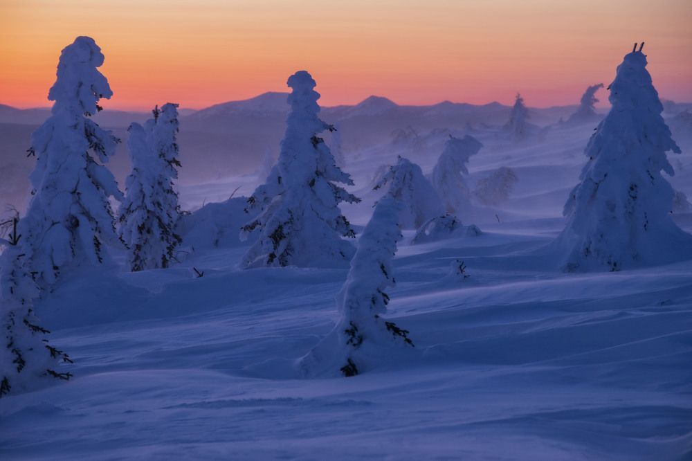 Photograph by Елена Перминова