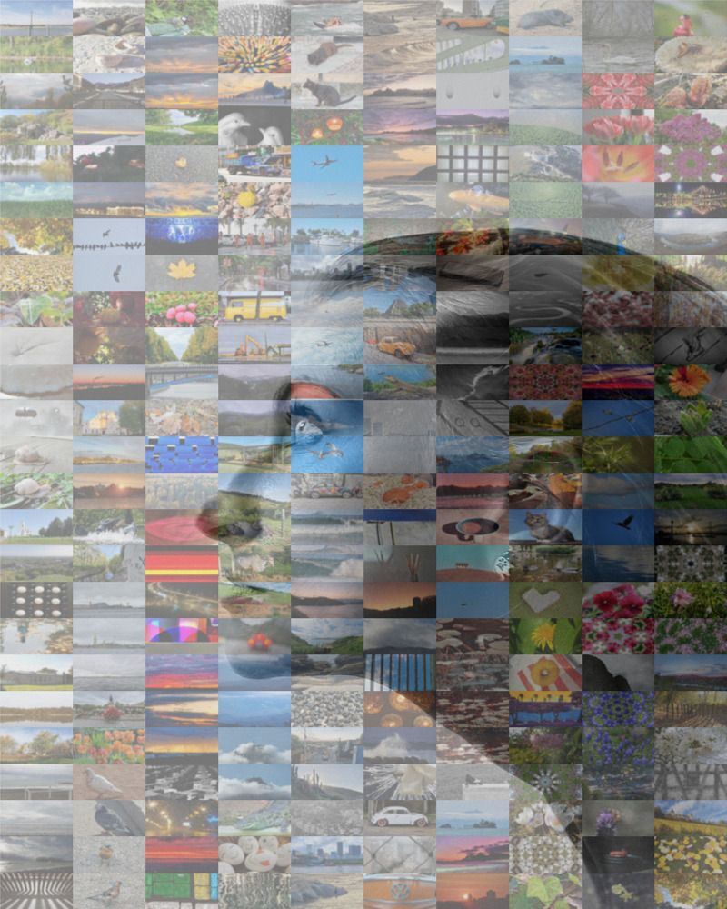 Photograph by Marie G