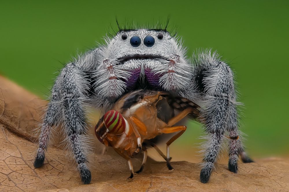 Photograph by Marcus Kam