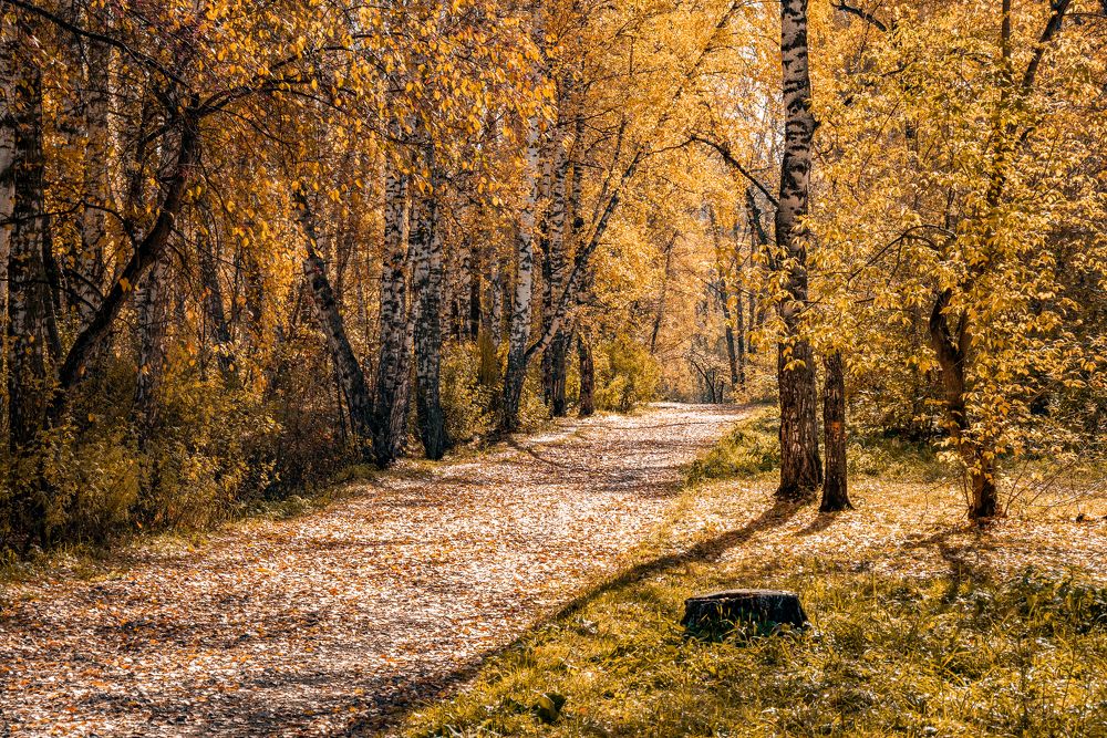 Photograph by Екатерина Шерабурко