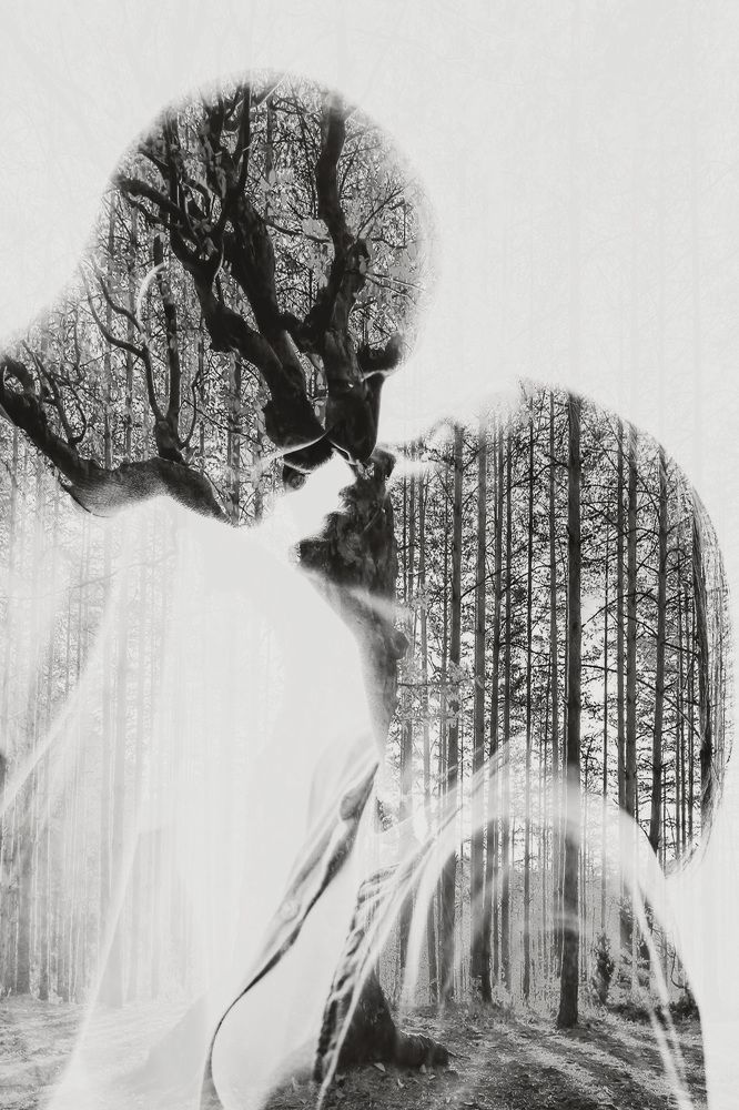 Photograph by Людмила Пахомова