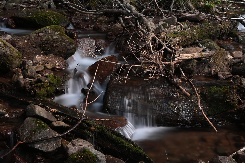 Photograph by Анастасия Долгова