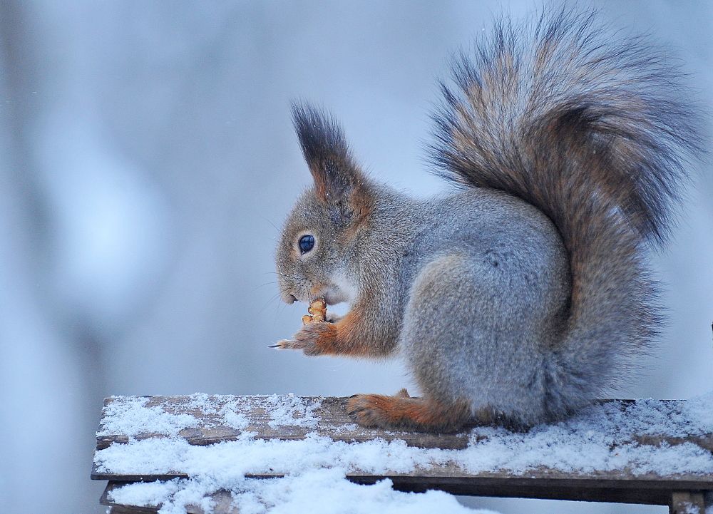 Photograph by Алексей Козлов