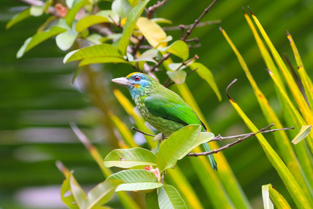 Photograph by Menula Dharmathilake