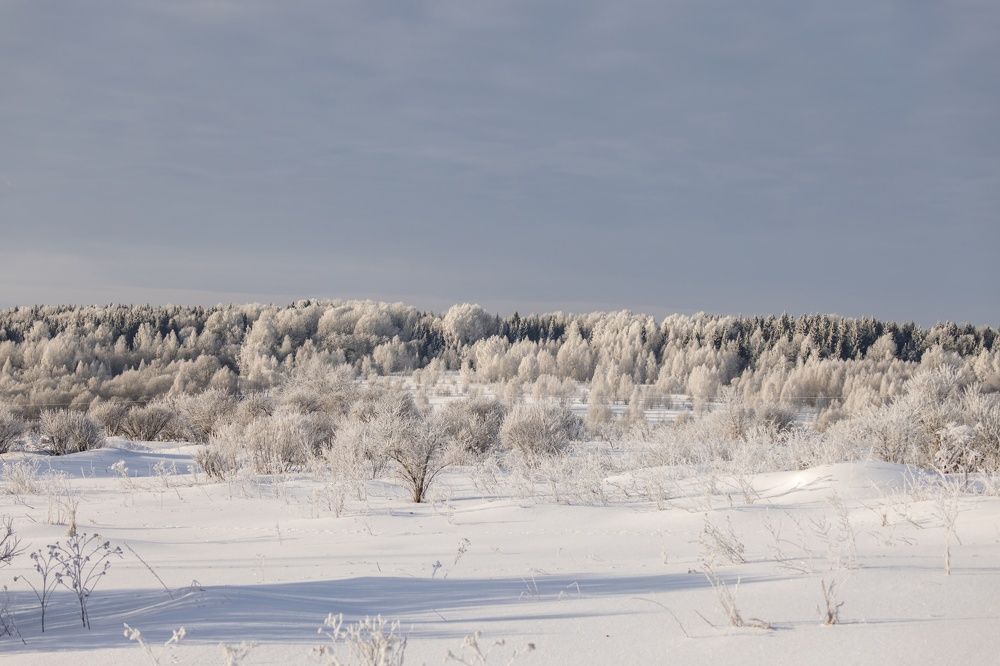 Photograph by Сергей Хабаров