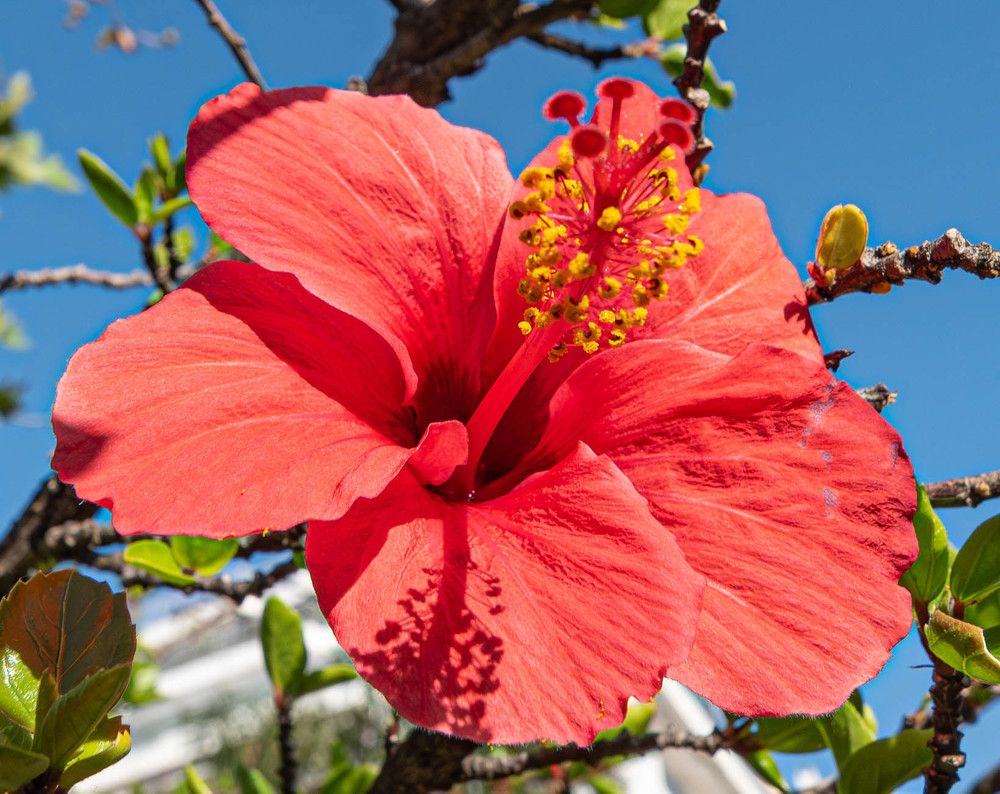 Фотография автора DIMITRIS MPAZIOTOPOULOS