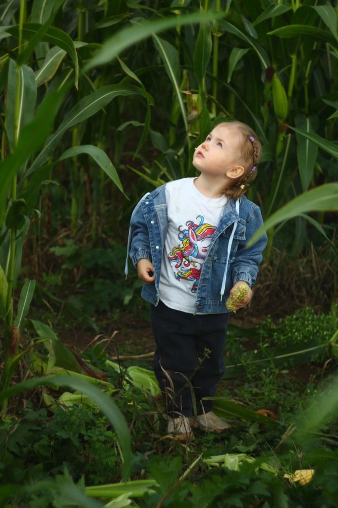 Photograph by Елена Наленч