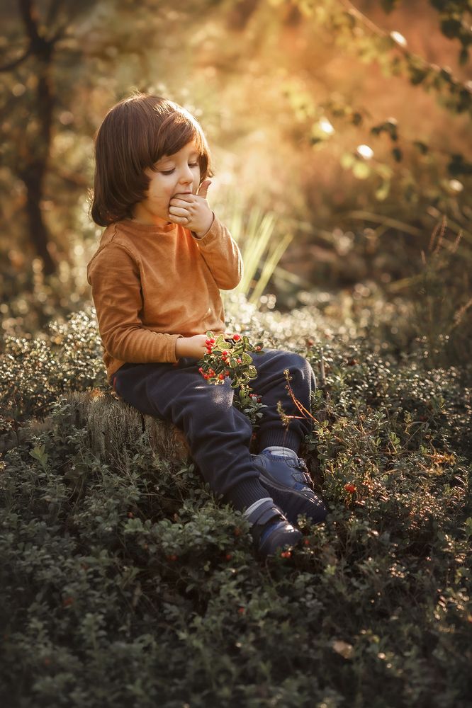 На брусничной поляне