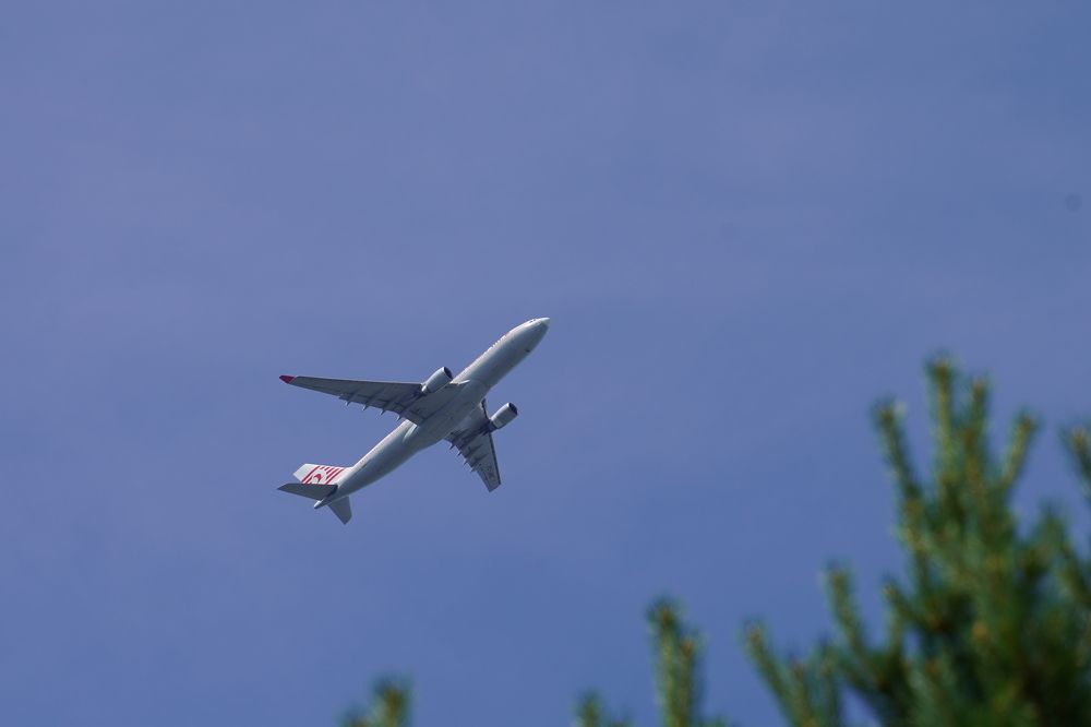 Photograph by Дмитрий Цикин