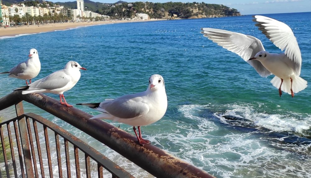 Photograph by Валерий Наумов