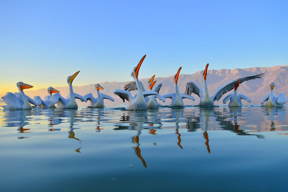 Photograph by nimalan subramaniam