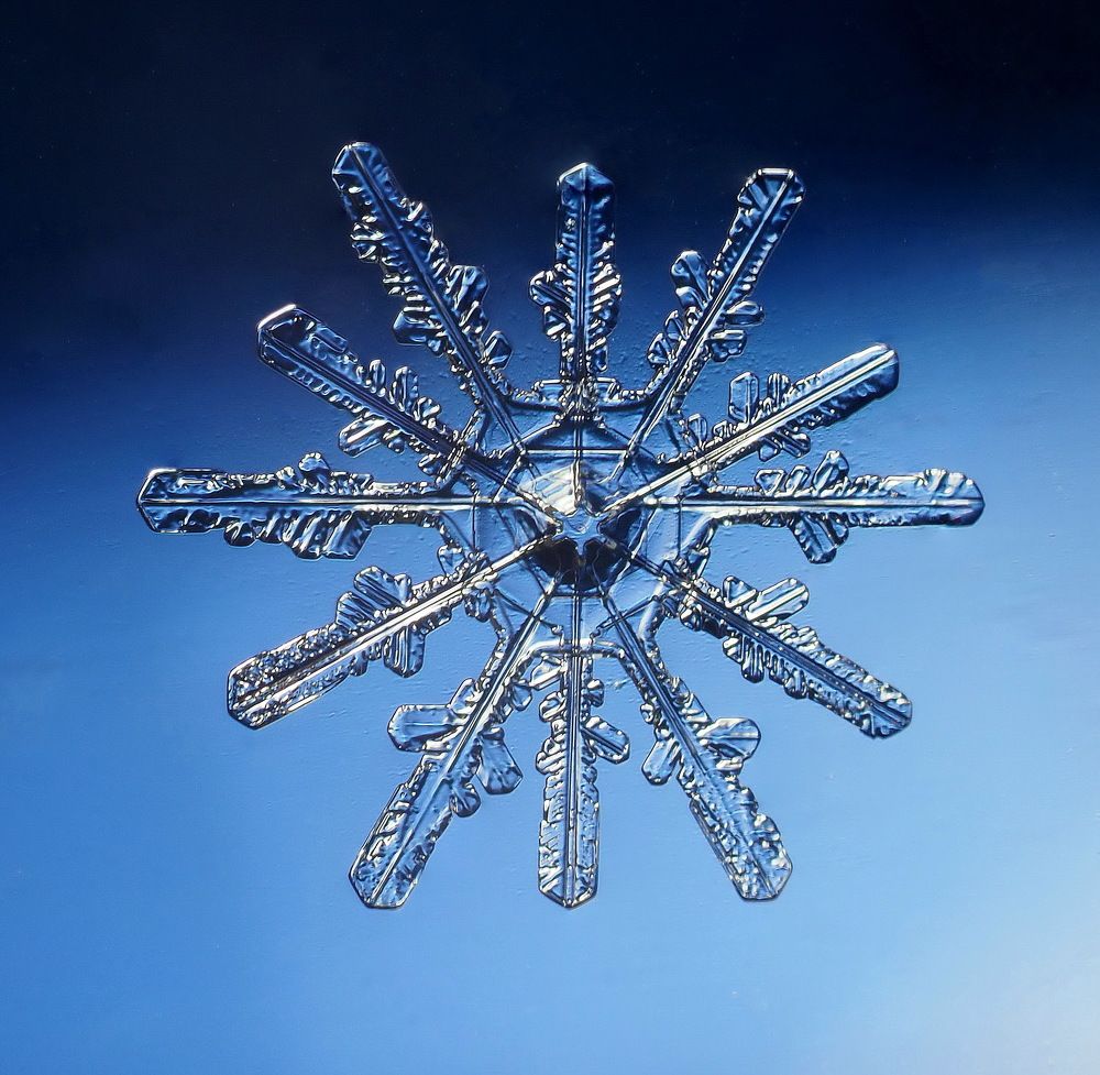 Зимняя драгоценность.