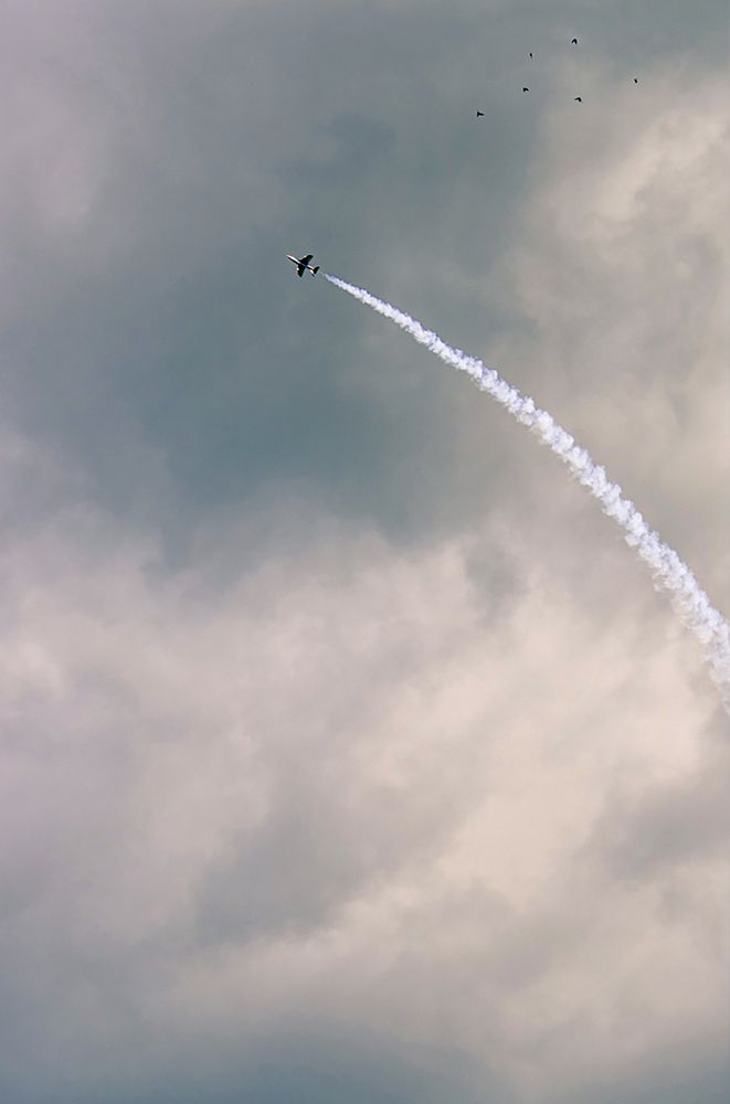 Photograph by Светлана Филипеня