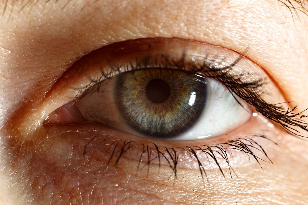 Photograph by Максим Покрышкин