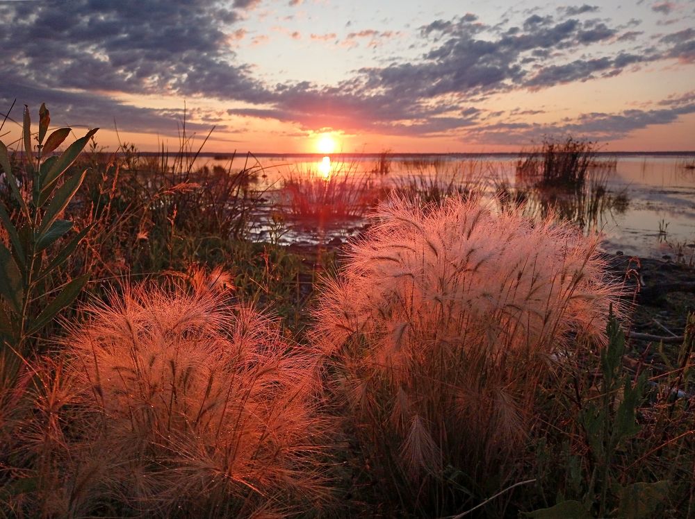 Фотография автора Кухта Мария