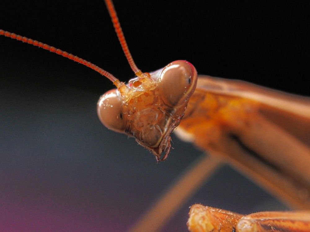 Photograph by Лейла Прощина