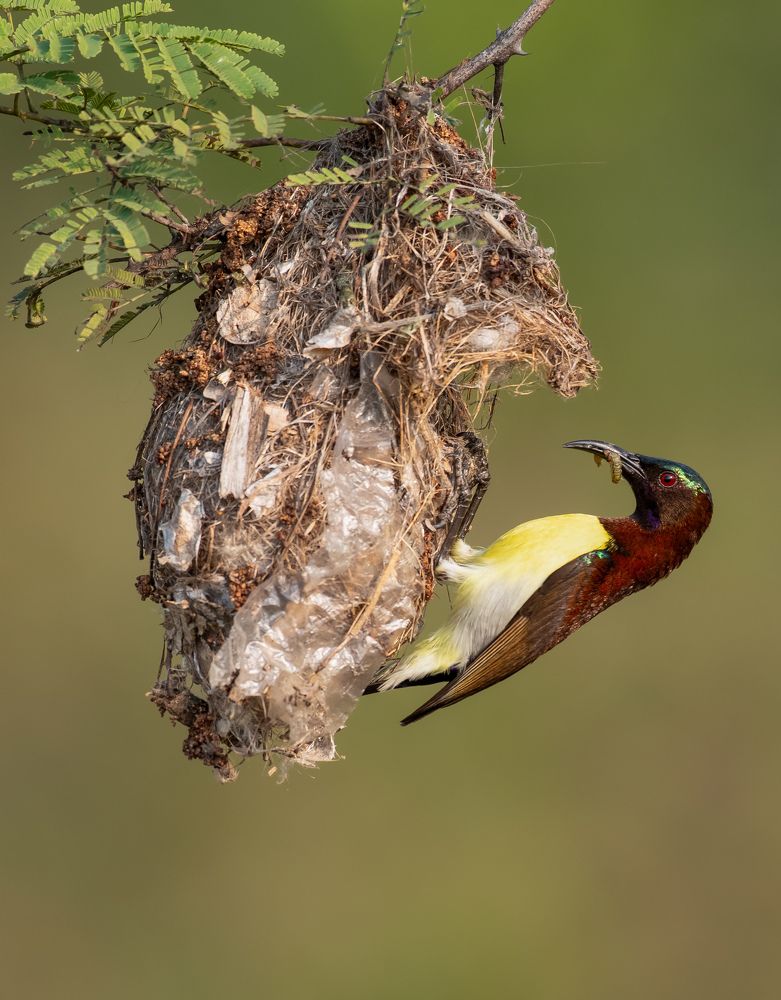 Photograph by Rajiv Mani