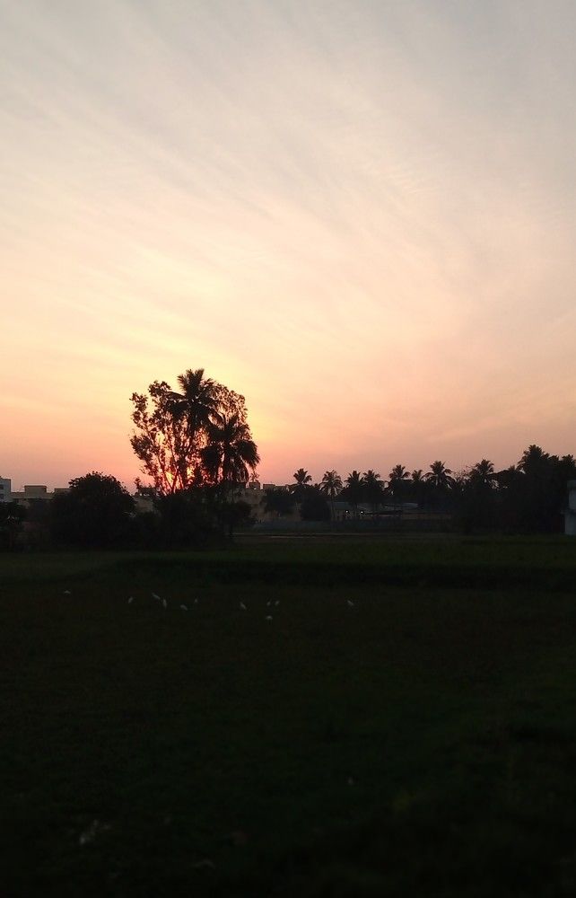 Photograph by Sangeetha Anand