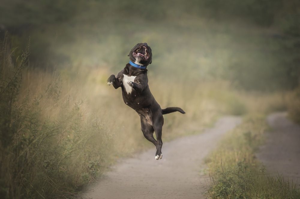 Photograph by Евгения