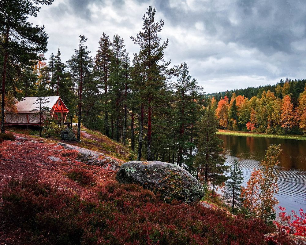 Photograph by Ольга Волкова