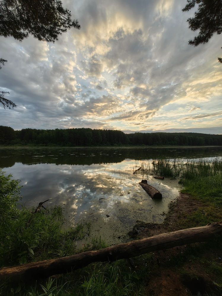 Раннее утро на озере