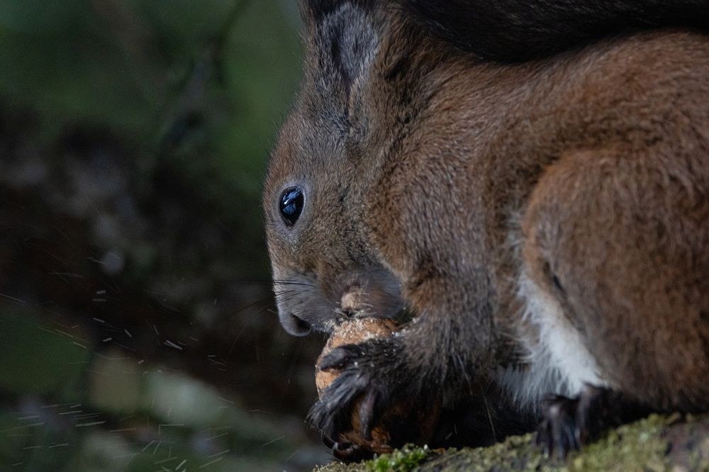 Photograph by Kelemen Csaba András