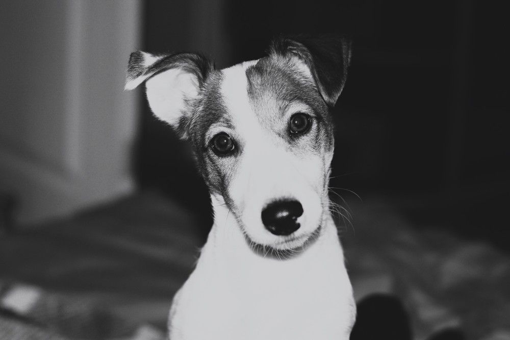 Photograph by Татьяна