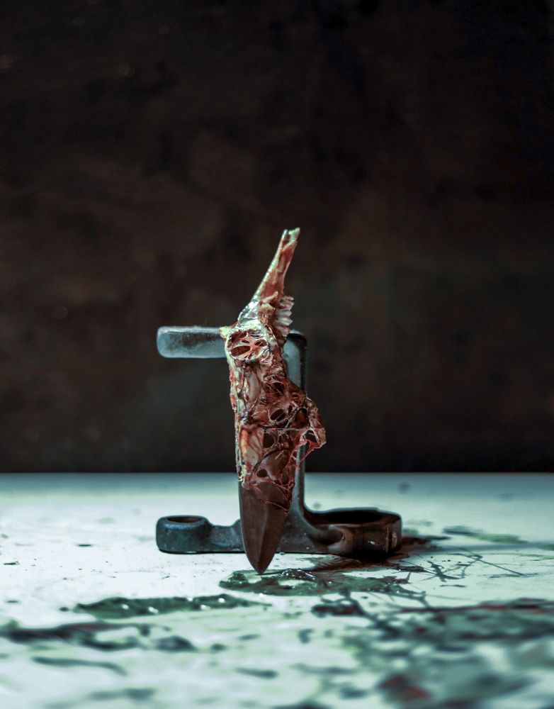 Фотография автора erfan sharaf