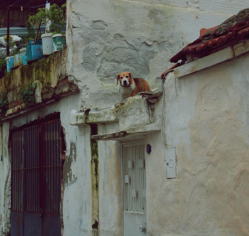 Photograph by Şeyma Gez