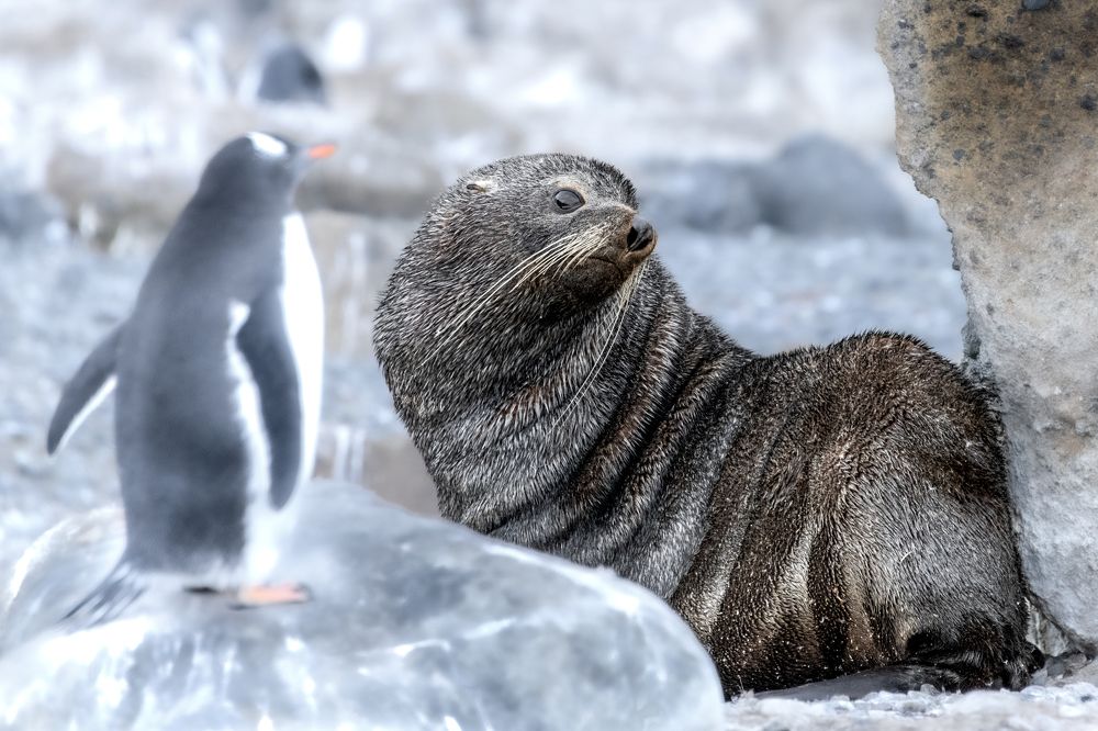 Photograph by Anuradha Agrawal