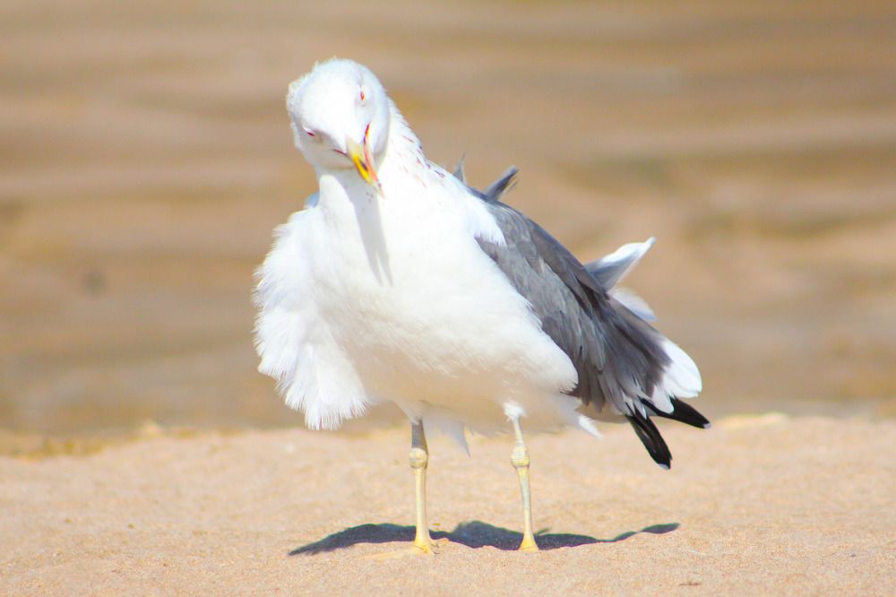 Photograph by sarah ghaz