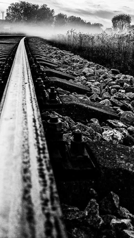 Photograph by Ljudmilla Pavljutsenkova