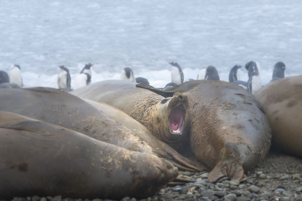 Photograph by Anuradha Agrawal