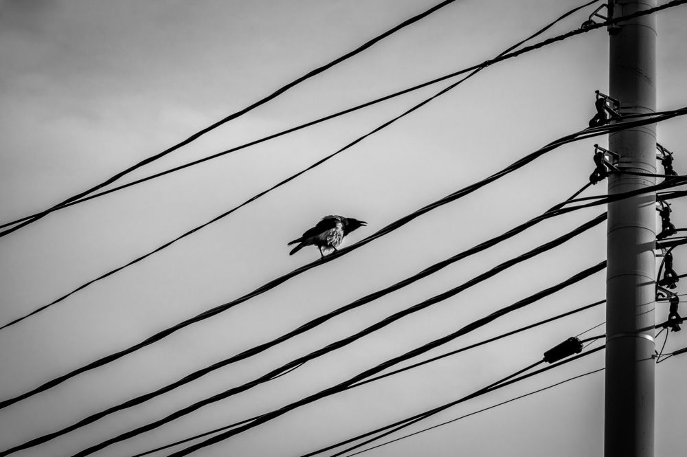 Photograph by Анастасия Кашенко