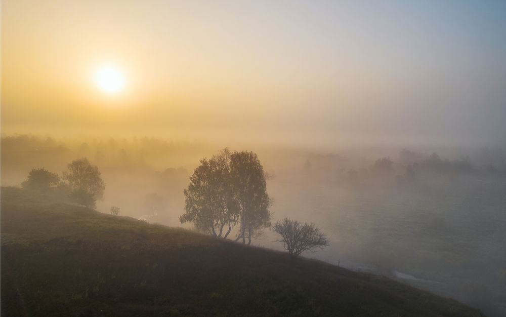 Туманное утро на Бежином лугу