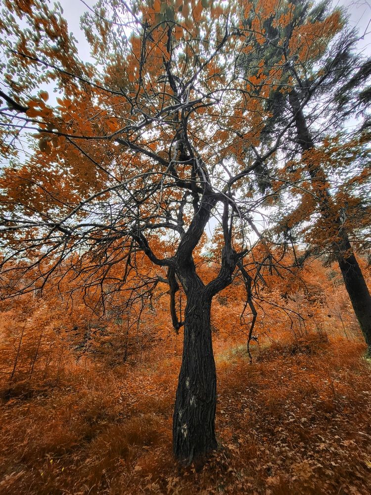 Photograph by Виталий Матвеев