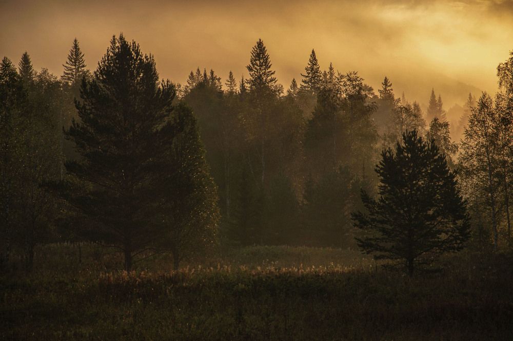 Photograph by Оксана Батракова