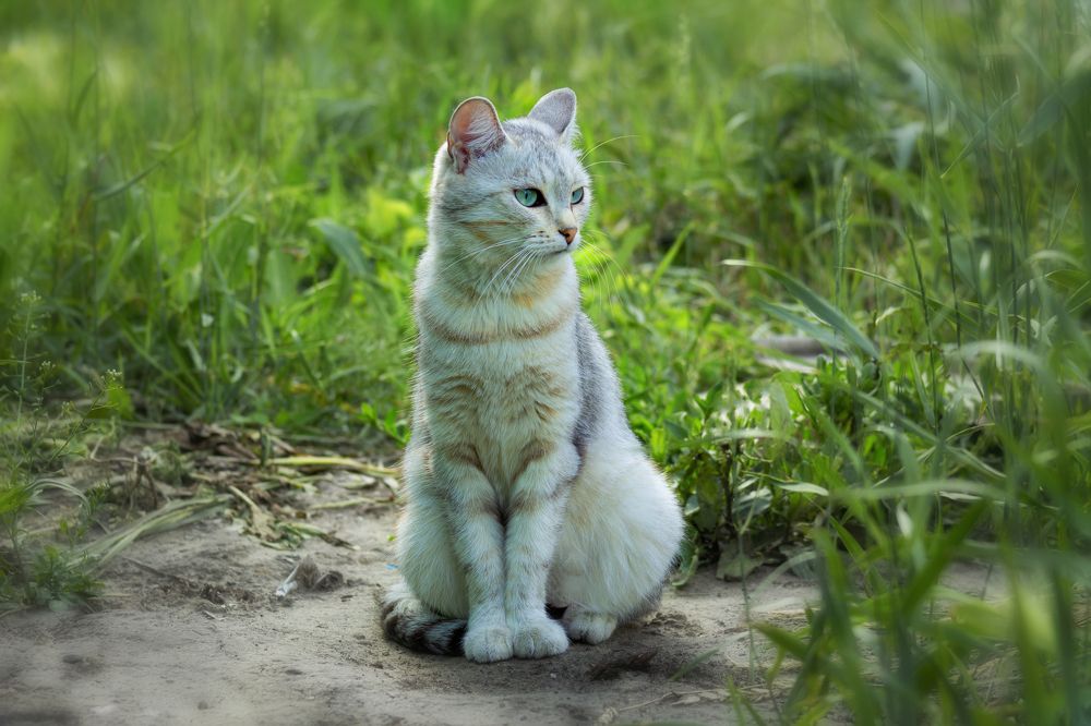 Photograph by Александр Канцур