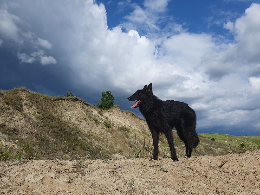 Фотография автора Надежда Лисицына